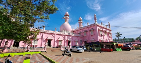 Pink domed building