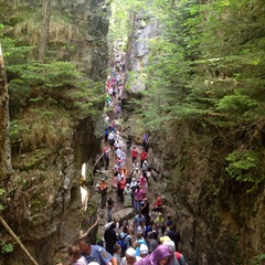 NEWS: Shared Sacred Landscapes project awarded Public Engagement Starter Fund 