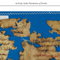 Photograph of manuscript fragment, complete with GRU catalogue number