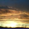 Trees in sunlight—is it sunset or dawn? 
