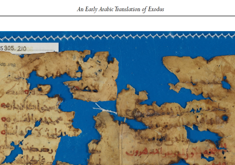 Photograph of manuscript fragment, complete with GRU catalogue number