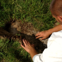 Viewed from behind, someone pulls up turf from grassland, as if excavating