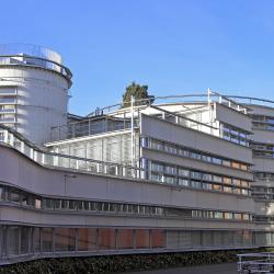 Faculty of Divinity