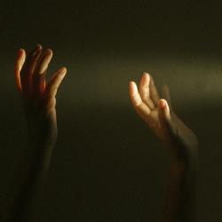 Hands raised up towards light