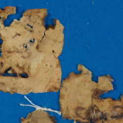 Photograph of manuscript fragment, complete with GRU catalogue number