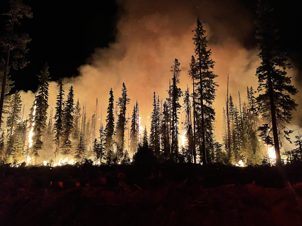 flickr, CC, Brendan O'Reilly photo of fire, CC from flickr, called Lick Fire on the Umatilla National Forest burning at night by Brendan O'Reillyphoto of fire, CC from flickr, called Lick Fire on the Umatilla National Forest burning at night by Brendan O'Reilly