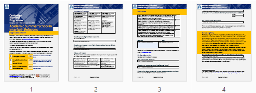 Preview of the 2022 application form