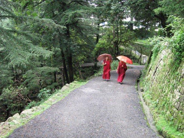 Two Tibetan Buddhist monks in conversation, walking along a hillside route in India
