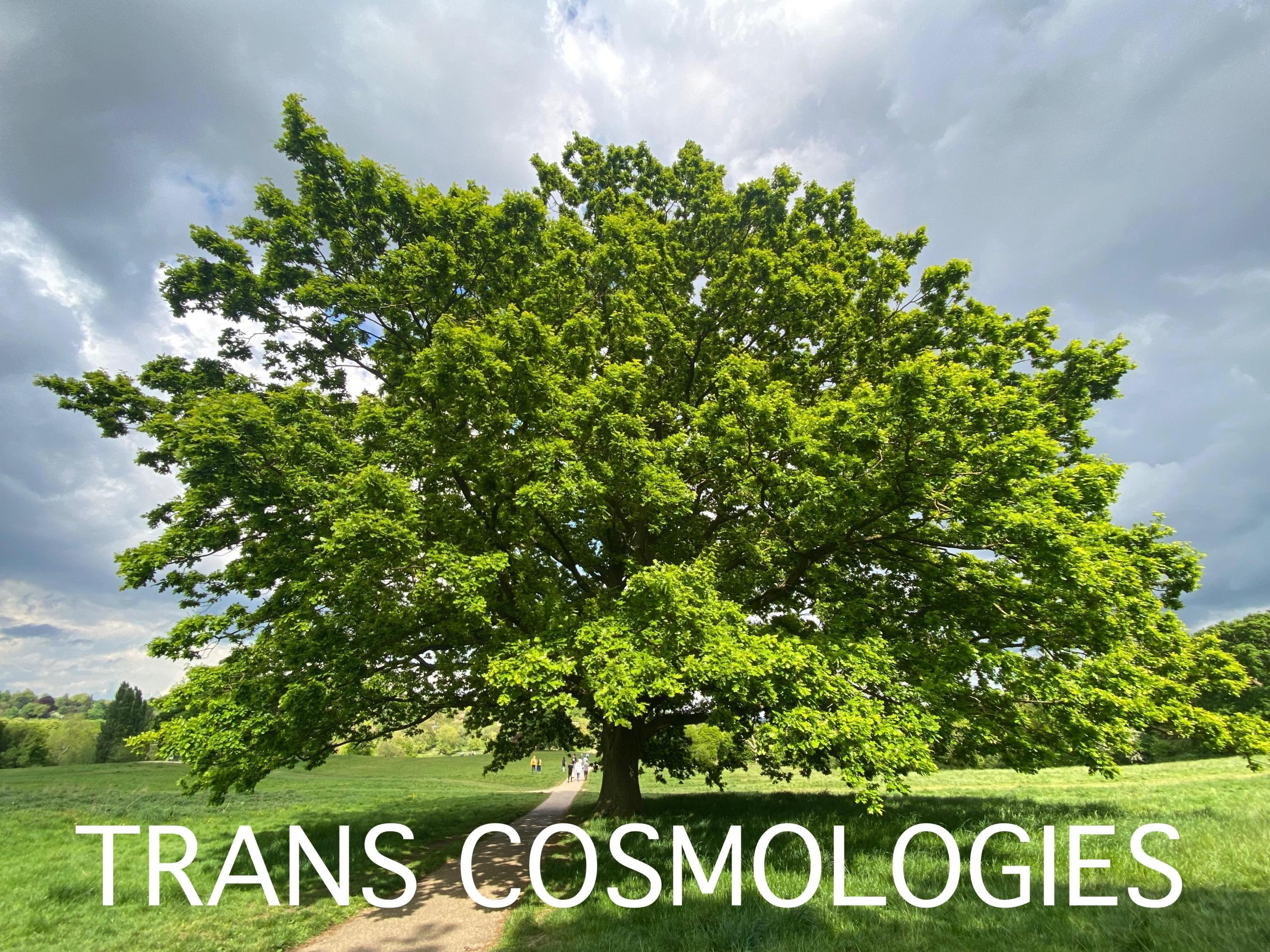 Trans Cosmologies 